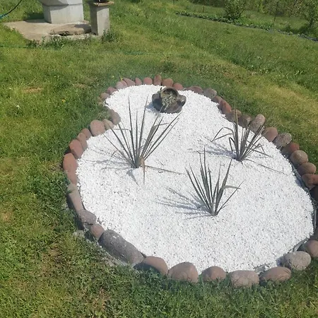 Vila Jotic, Zavojsko Jezero *